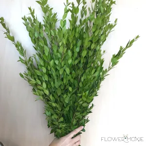 Myrtle Greenery